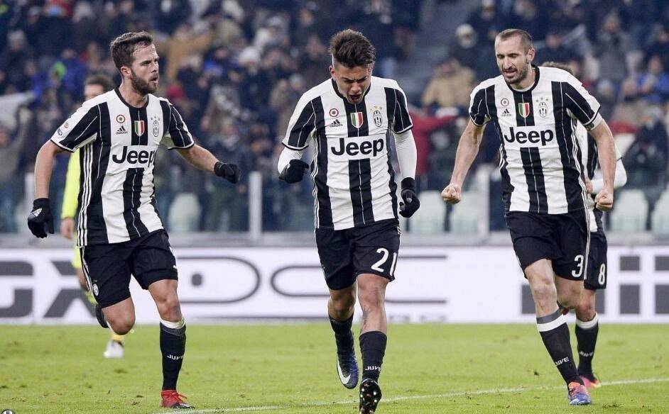 致敬，都柏林动物园将一只极度濒危的鹦鹉取名特洛伊-帕罗特（都柏林动物园致敬命名一只极危鹦鹉为特洛伊-帕罗特）